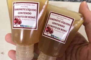Estudantes e pesquisadores criam sabonete com extrato de romã