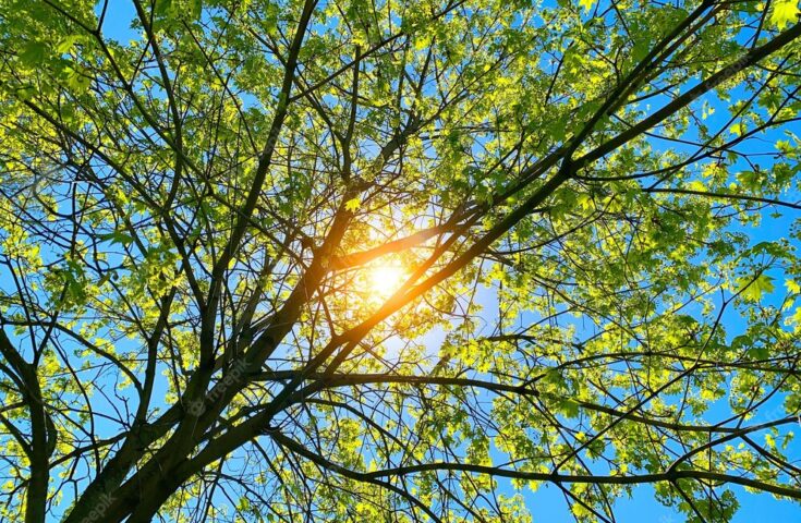 Domingo de sol e calor no ES; veja a previsão