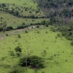 Começou nesta segunda-feira (14) o prazo para envio da Declaração do Imposto sobre a Propriedade Territorial Rural (DITR)