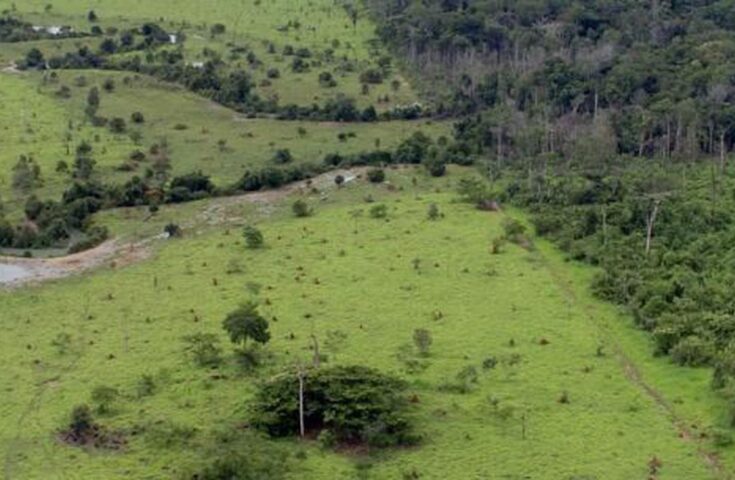 Aberto o prazo para entrega da Declaração do Imposto Territorial Rural