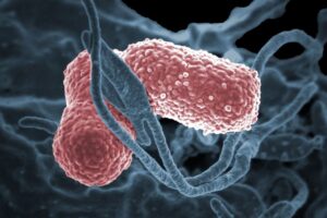 Estudo aponta estratégias para conter ‘superbactérias’ em hospitais