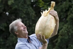 Cebola Gigante de 9 kg pode entrar para o Guinness Book