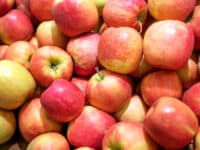 Aumento da oferta faz preço da maçã gala cair