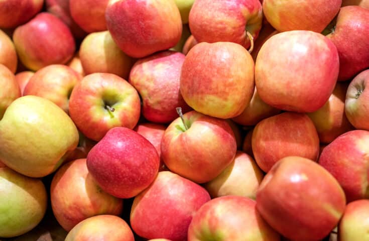 Película comestível de abricó aumenta vida útil de frutas para 15 dias