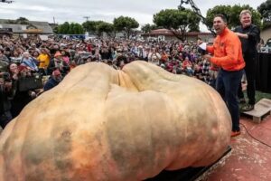 Abóbora gigante de 1.248 kg quebra recorde mundial nos Estados Unidos