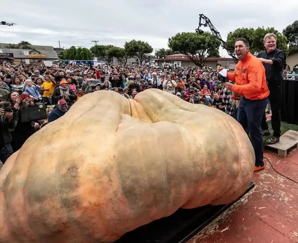 Abóbora gigante de 1.248 kg quebra recorde mundial nos Estados Unidos