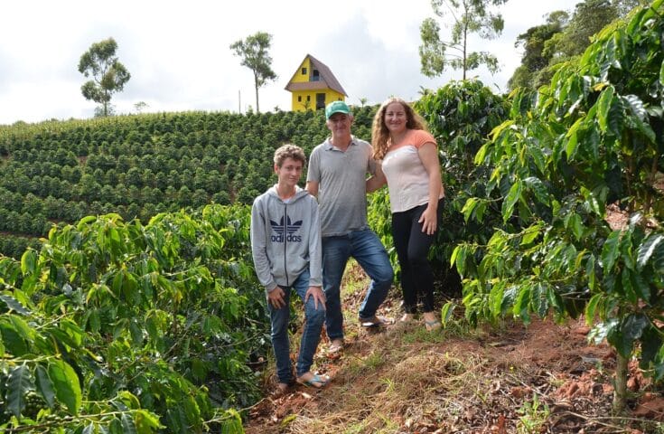 Crescimento sustentável e impacto positivo: cooperativismo agro no ES