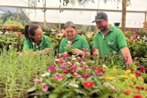 Da jardinagem à floricultura de sucesso em Venda Nova do Imigrante
