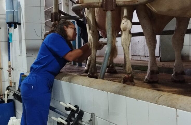 Ifes Itapina desenvolve pesquisa para aprimorar qualidade do leite