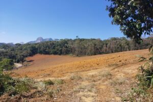 Desmatamento em Reserva Legal: multa para infrator em Venda Nova