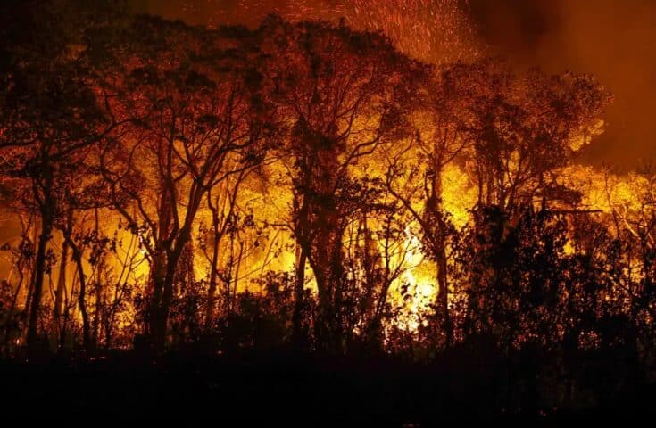 Abag vê com preocupação incêndios que assolam interior de São Paulo