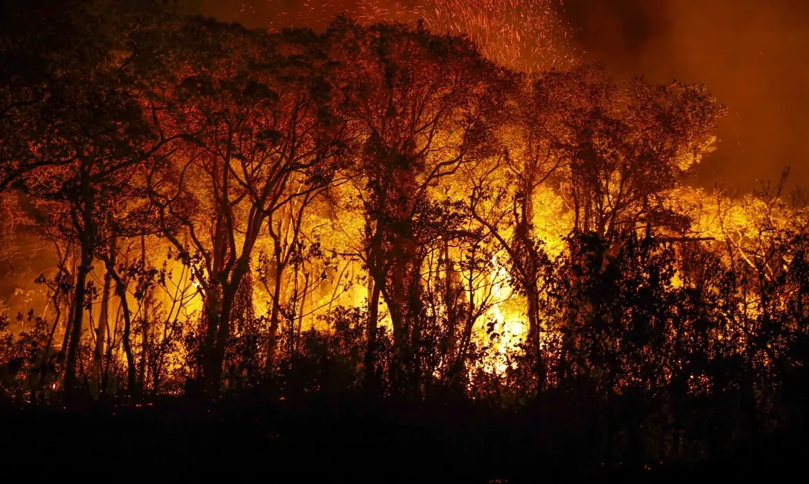 Abag vê com preocupação incêndios que assolam interior de São Paulo