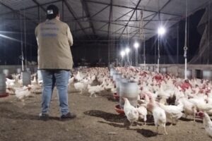 Agricultura do RJ realiza ação de fiscalização no Norte Fluminense