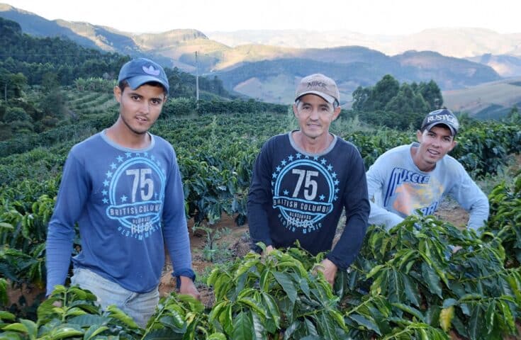 15º Concurso de Cafés Especiais de Muniz Freire premiará nesta quinta