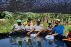Incentivo à produção de peixes e hortaliças em aldeia de Aracruz