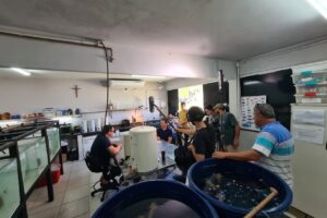 Ifes: Pesquisas sobre peixe palhaço são destaque no Globo Repórter
