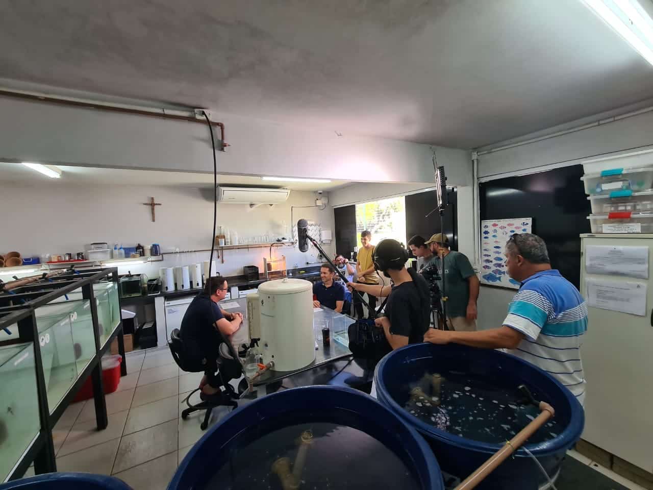 Ifes: Pesquisas sobre peixe palhaço são destaque no Globo Repórter