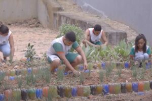 Incaper apoia projeto de hortas nas escolas em Viana