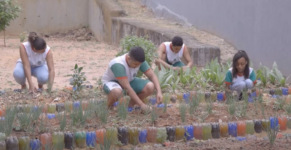 Incaper apoia projeto de hortas nas escolas em Viana
