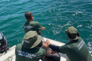 Fiscais apreendem mais material de caça submarina em arquipélago do ES