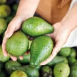 abacate saúde nutrição dieta