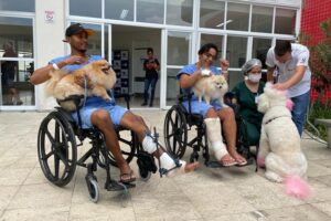 Cãezinhos vão ajudar na recuperação de pacientes em hospital capixaba