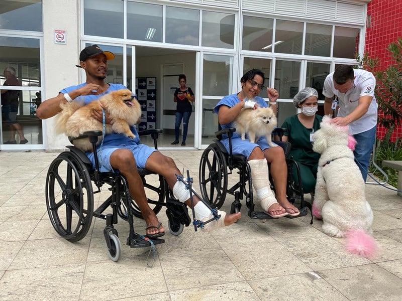 Cãezinhos vão ajudar na recuperação de pacientes em hospital capixaba