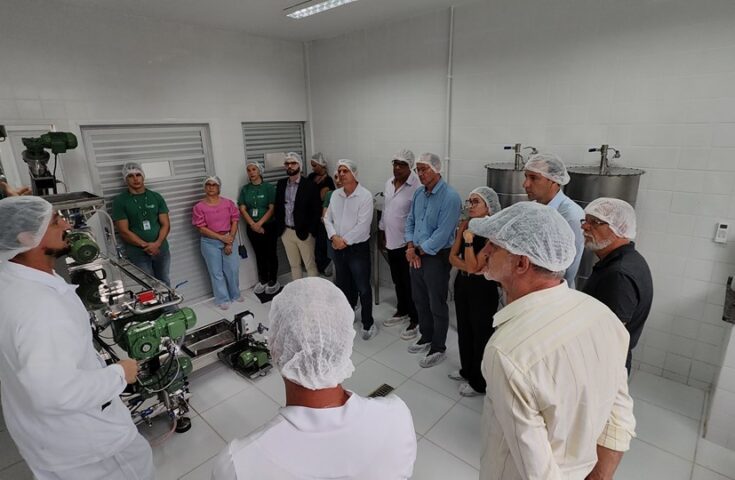 Primeira fábrica de azeite para uso coletivo é inaugurada no ES