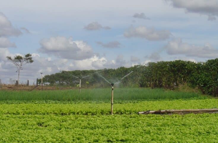 Irrigação: estratégias para uso racional de água na agricultura