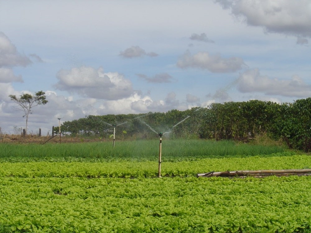 Irrigação: estratégias para uso racional de água na agricultura