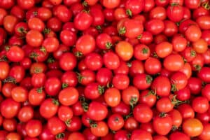 Tomate cereja: além de gostoso, faz bem à saúde