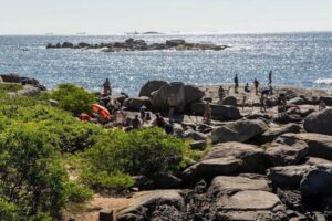Vila Velha: redução dos resíduos em ilhas e preservação ambiental