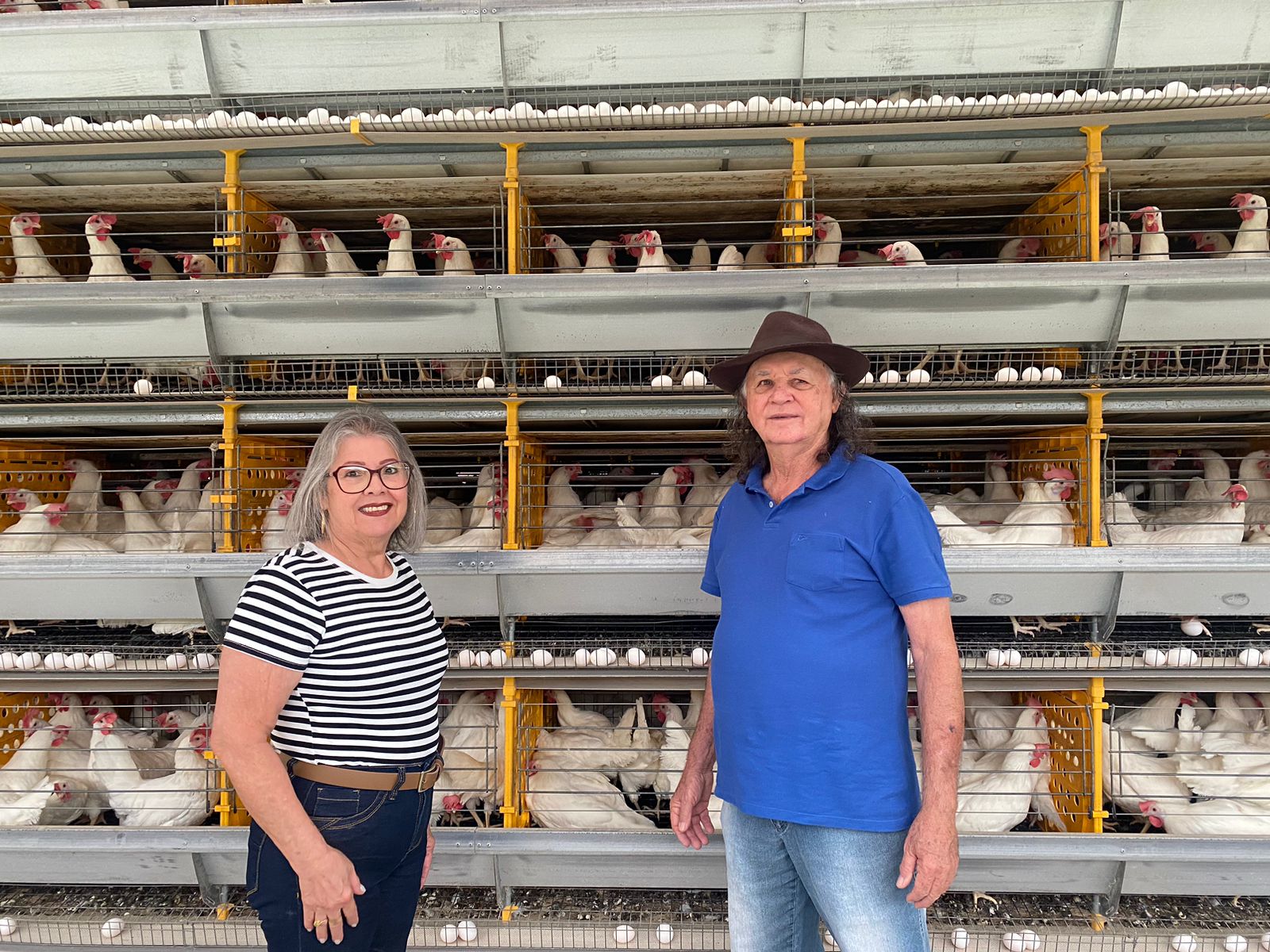 Dia Estadual do Produtor de Ovos celebra a importância do setor