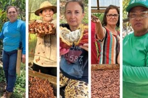 Mulheres do Cacau: projeto mostra força feminina no campo