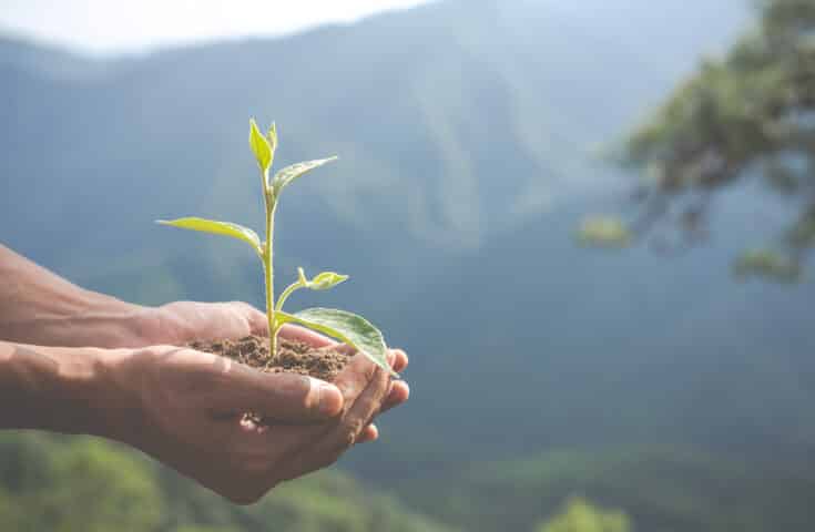 2ª Caet: estudantes debatem sobre o meio ambiente e sustentabilidade