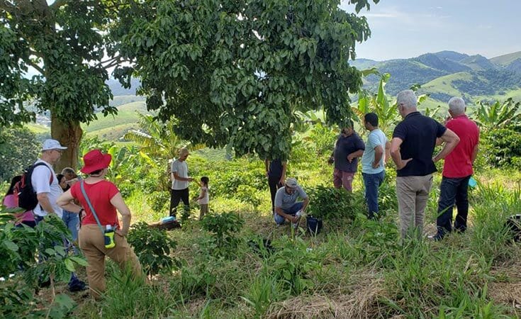 Sistema de café arborizado é tema de intercâmbio realizado em Alegre