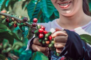 Mulheres do Café: projeto foca igualdade e valor na cafeicultura