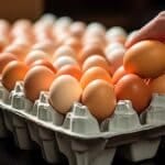 A explicação para a disparada de preços é porque, com menos ovos disponíveis no mercado e um aumento na compra, os preços sobem naturalmente