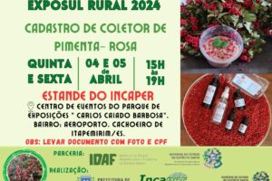 Incaper realizará cadastro de coletor de pimenta-rosa na ExpoSul Rural