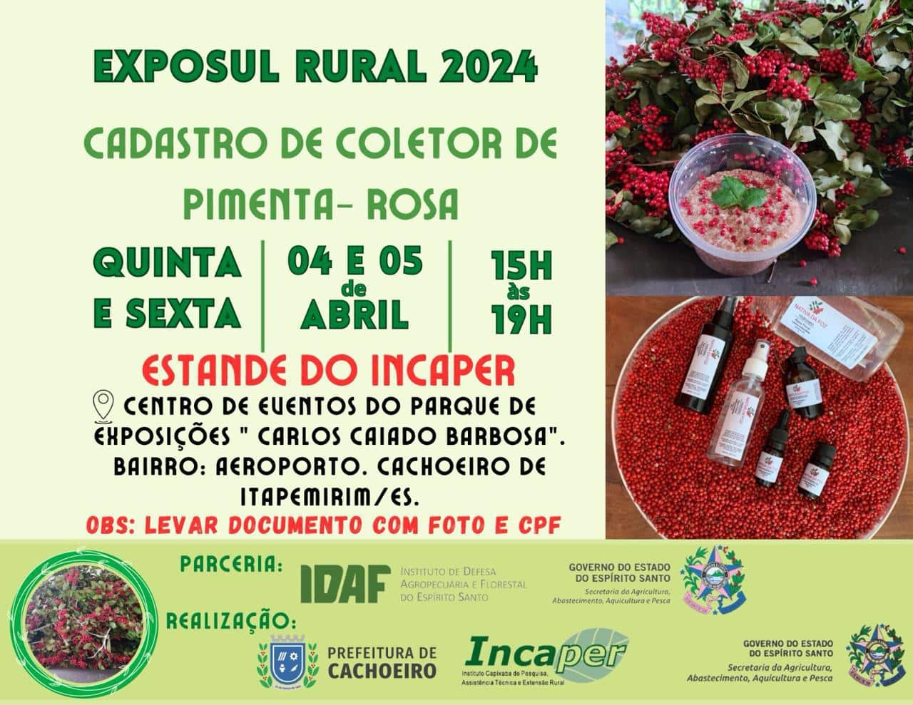 Incaper realizará cadastro de coletor de pimenta-rosa na ExpoSul Rural