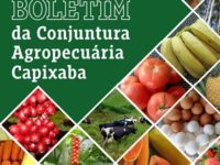 Incaper apresenta Boletim da Conjuntura Agropecuária Capixaba