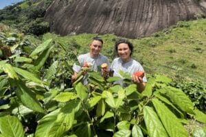 Novos produtores de cacau emergem nas Montanhas Capixabas