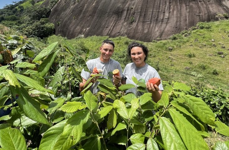 Novos produtores de cacau emergem nas Montanhas Capixabas