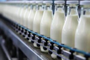 Parceria do Sistema OCB busca fortalecer cadeia de lácteos
