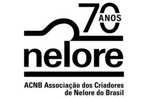 Associação dos Criadores de Nelore do Brasil completa 70 anos