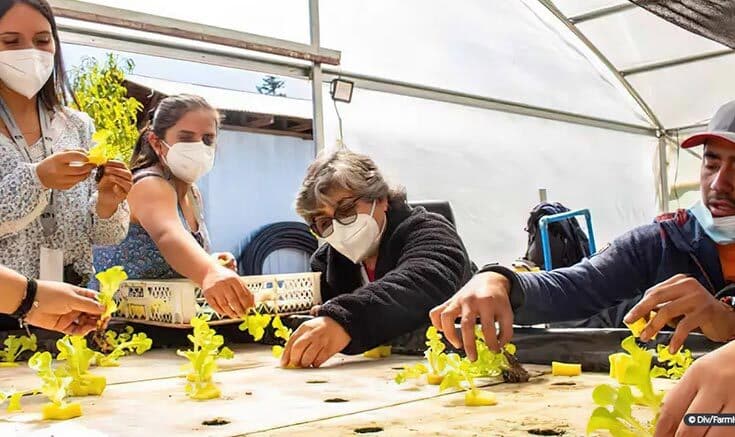 Chileno cria projeto para facilitar acessibilidade no campo