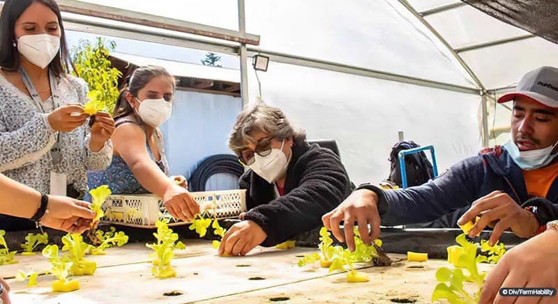 Chileno cria projeto para facilitar acessibilidade no campo