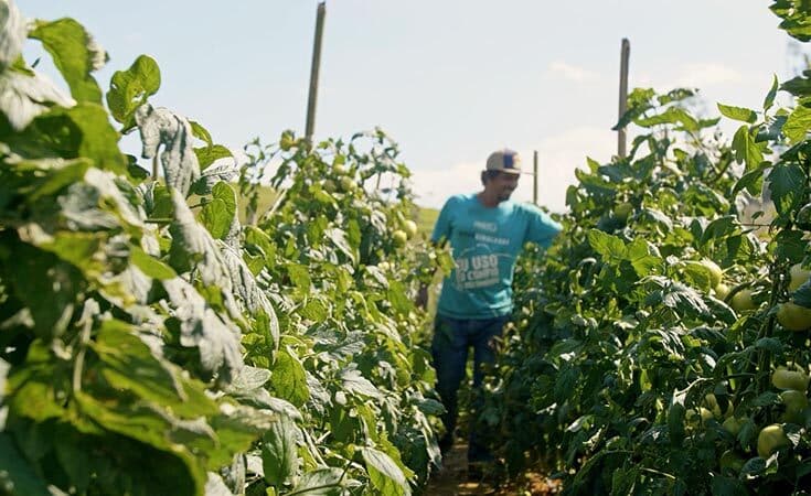 Prefeitura de Presidente Kennedy: Compromisso com o homem do campo