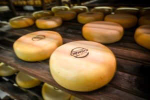 Produtores dos queijos da Canastra usam tecnologia francesa