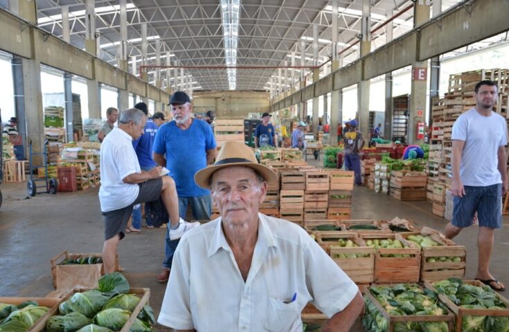 Produtor de Santa Teresa comercializa mandioca de 60 kg na Ceasa